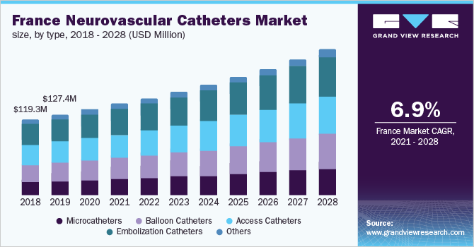法国神经血管导管市场规模，各类型，2018 - 2028年(百乐鱼体育手机网站入口万美元)