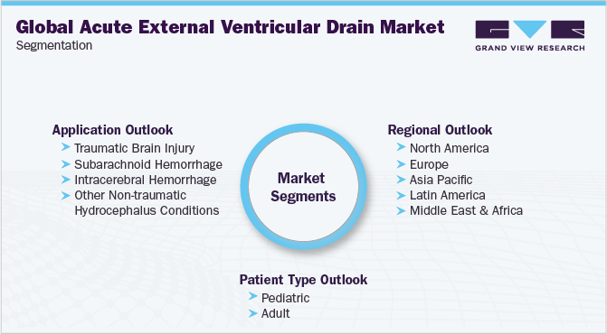 全球急性外脑室引流市场细分