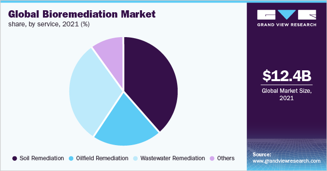 全球生物修复市场份额，按服务分类，2021年(%)