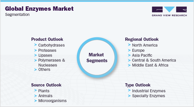 全球酶市场细分