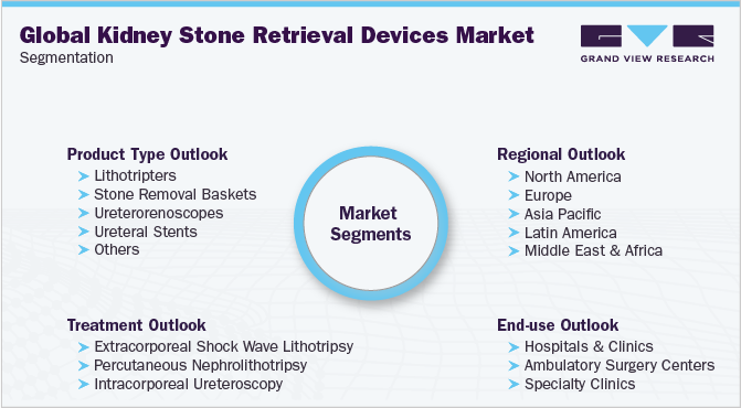 全球肾结石取出设备市场细分