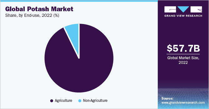 Global Potash market share and size, 2022