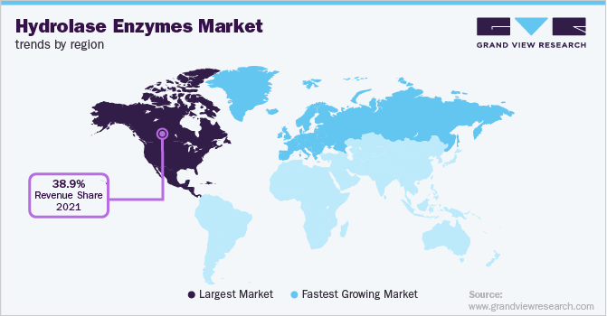 各地区水解酶市场趋势