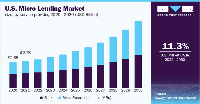 美国小额贷款市场规模，各服务提供商，2乐鱼体育手机网站入口020 - 2030年(十亿美元)